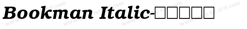 Bookman Italic字体转换